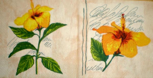 015 Lilies - 3-ply (cream/orange)